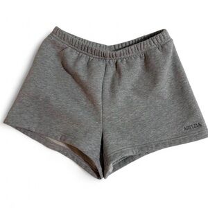 Aritzia Heather Gray Shorts
